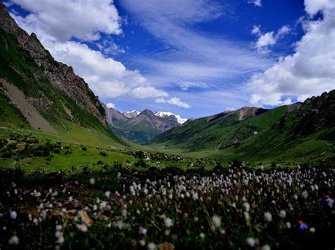 De Mysterieuze schoonheid van de Nanyinggou-vallei, een verborgen juweel in Nagqu!